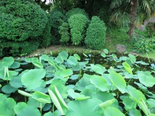 Il Parco giardino Sigurtà è un parco naturalistico di 60 ettari situato a Valeggio sul Mincio, in provincia di Verona, a 8 km da Peschiera del Garda_4